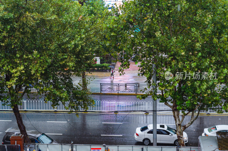 青岛下雨的路上有车驶过