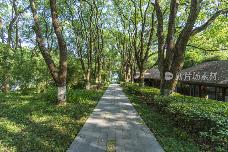 武汉东湖湖北书画院风景