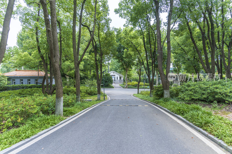 武汉青山公园风景