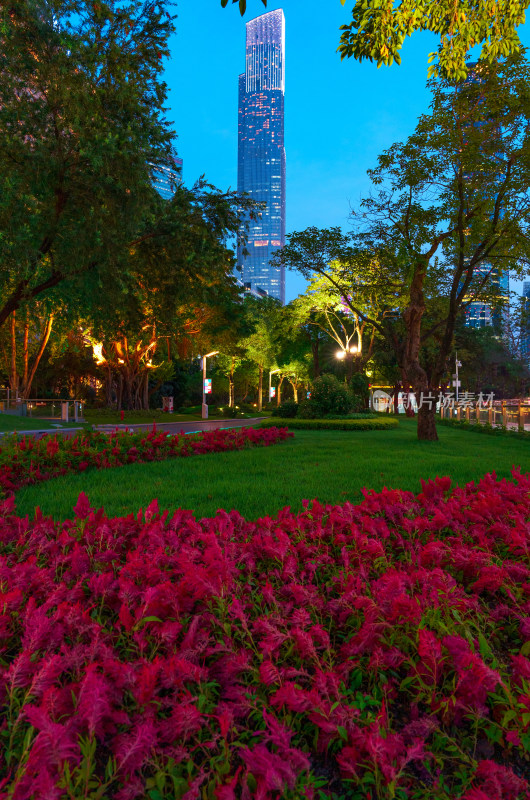 广州珠江新城花城广场公园花海树林夜晚景观