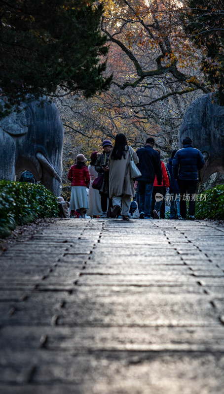 游客参观南京明孝陵石象路神道石像古迹场景