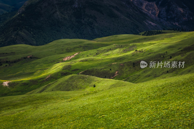 阳光下山谷草原连绵起伏的绿色山川