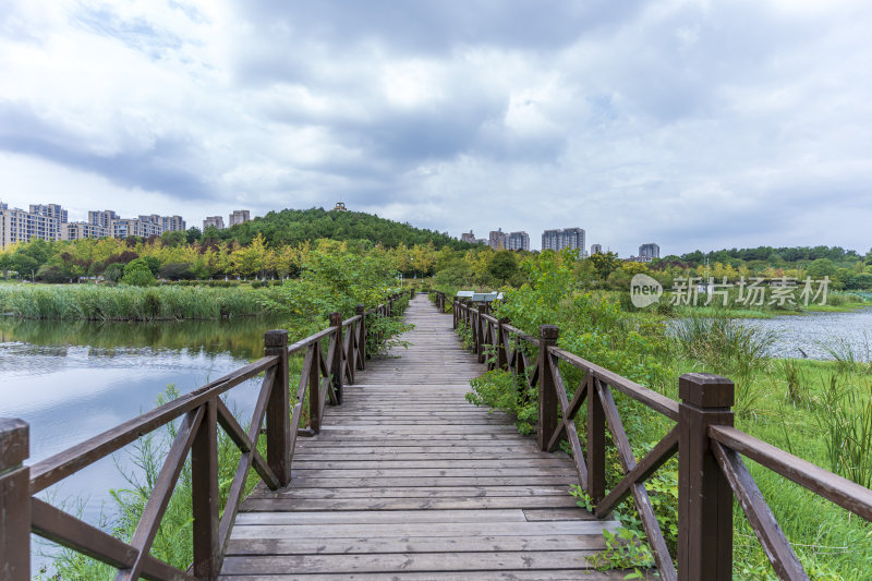 武汉江夏区藏龙岛国家湿地公园风景