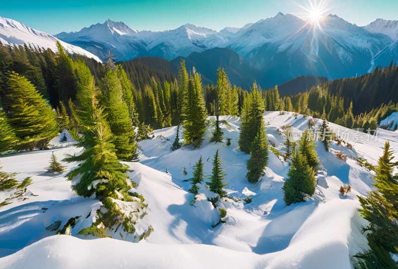 雪山草原森林风景