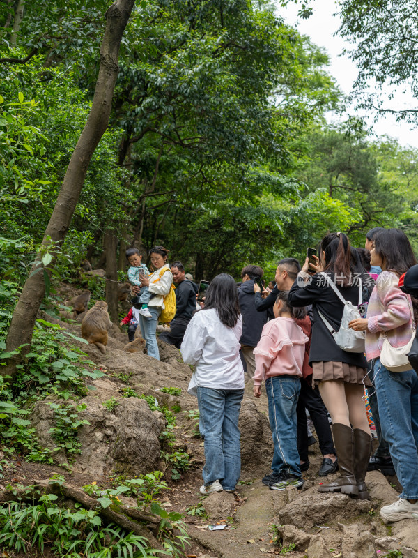 五一假期贵阳市黔灵山公园游客与猴子互动