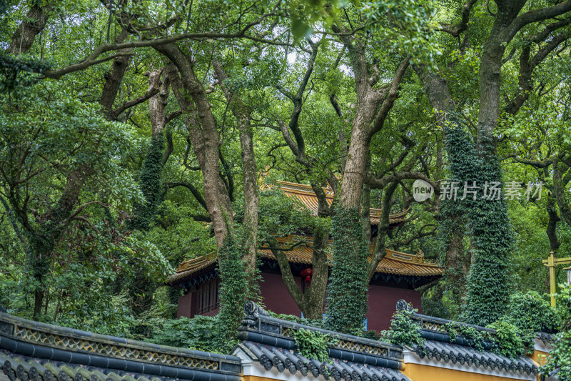 浙江普陀山法雨寺禅院