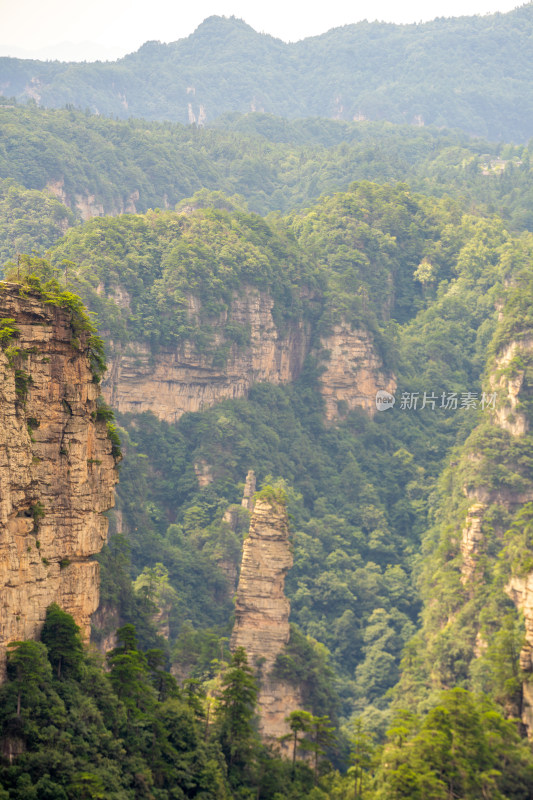 中国湖南张家界景区奇特山峰与茂密森林