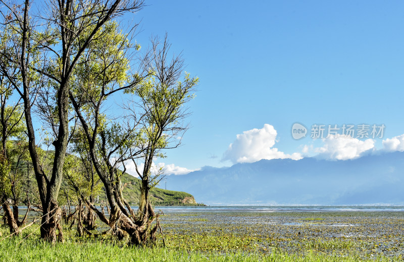 大理洱海风光