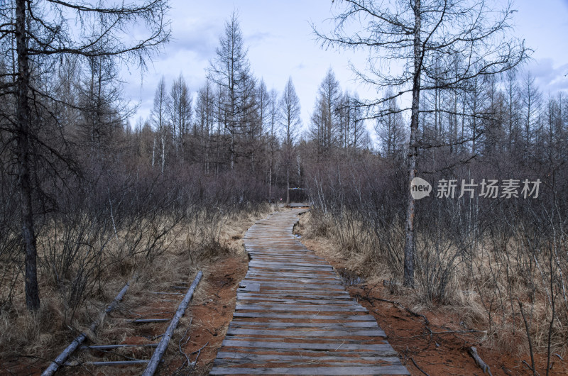 内蒙古呼伦贝尔敖鲁古雅使鹿部落景区