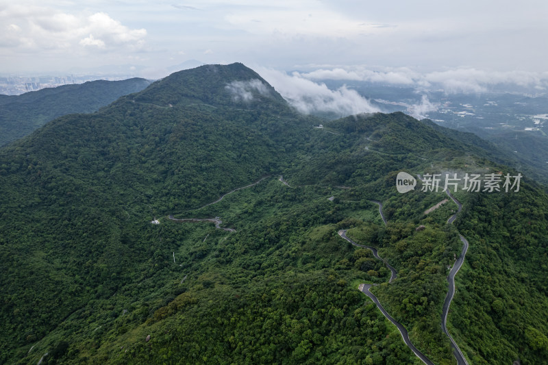 阳台山森林公园