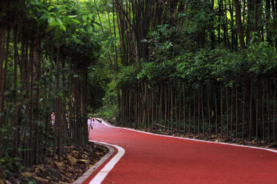 成都温江绿道风景