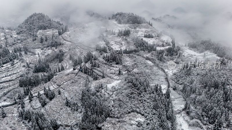 重庆酉阳：大雪纷飞赏雪忙