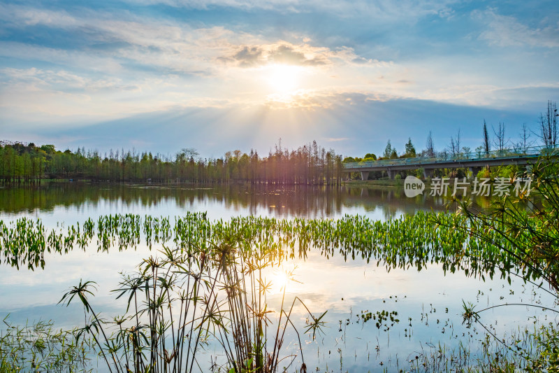 日落时的湖景