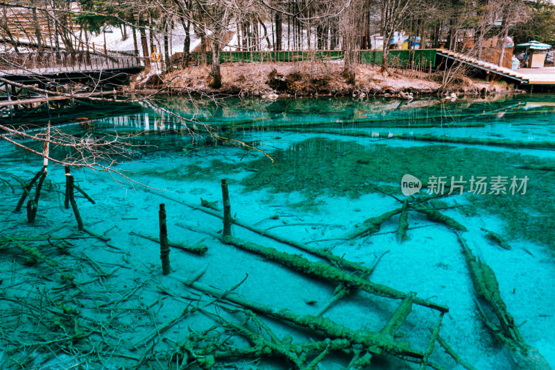 川西九寨沟冬季雪山碧蓝海子唯美