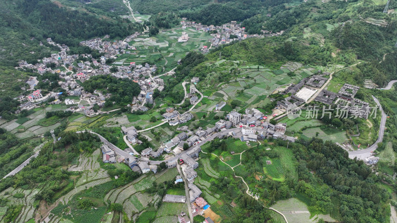 蜿蜒山路  乡村振兴