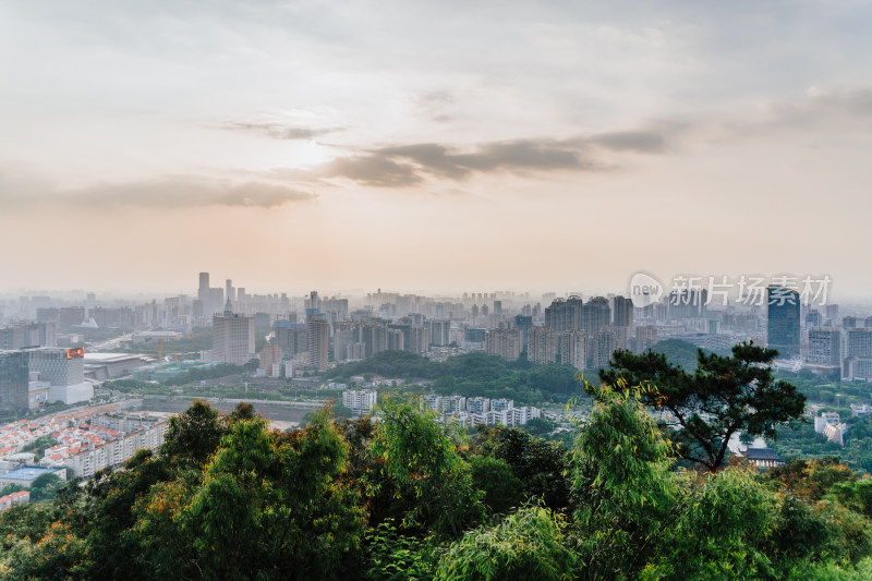 东莞市区城景