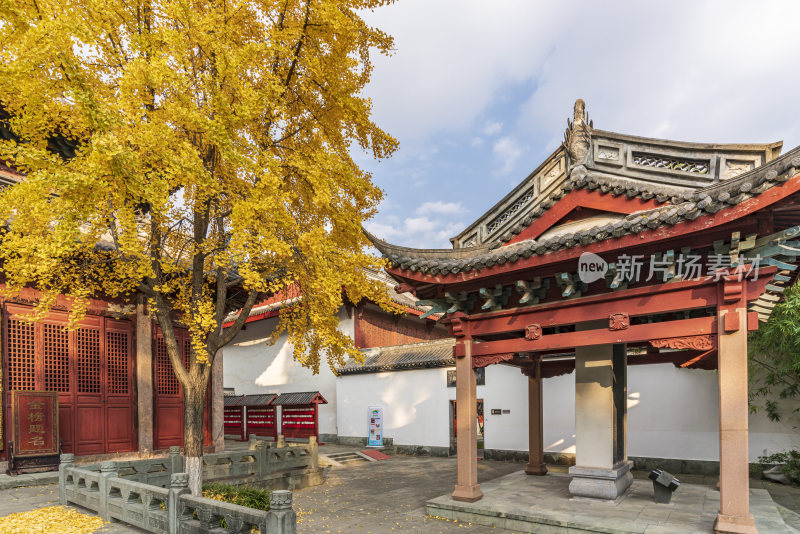 杭州上城区孔庙古园林风景