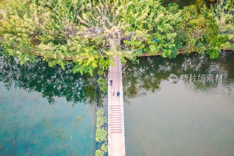 广东省深圳市龙岗区龙潭公园湖边人行桥