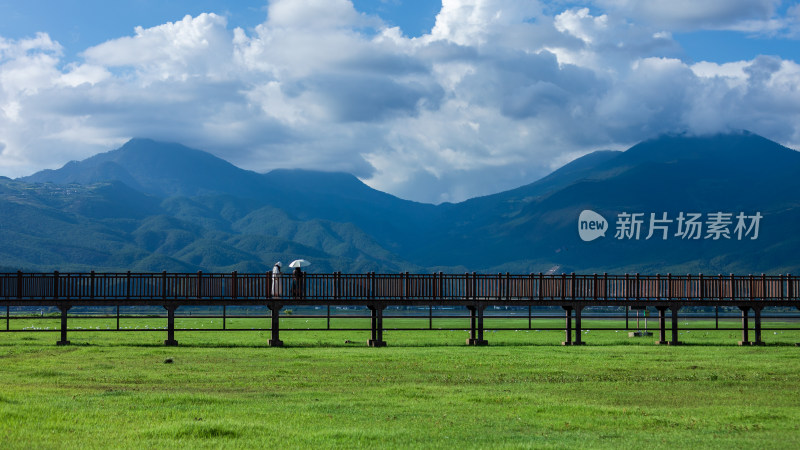 丽江拉市海湿地公园夏末风光茶马古道风景