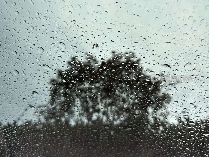 车窗外雨滴密布树影模糊的景象