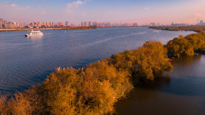 昆明草海湿地风光