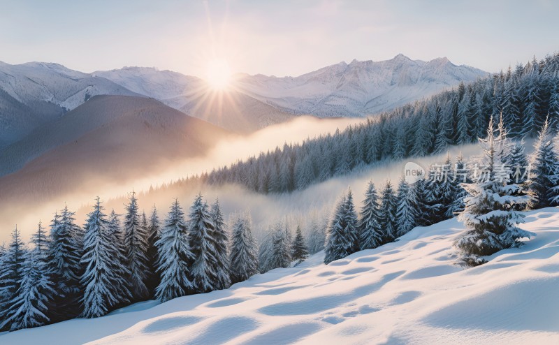 冬季森林白雪覆盖风景