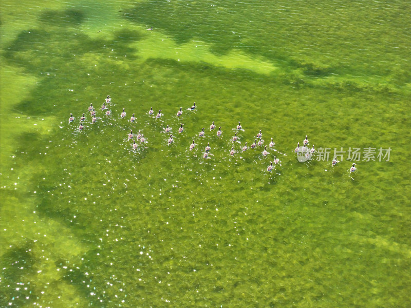 甘肃可鲁克湖的风光美景