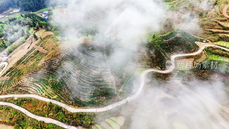 重庆酉阳：青山雾漫别样美