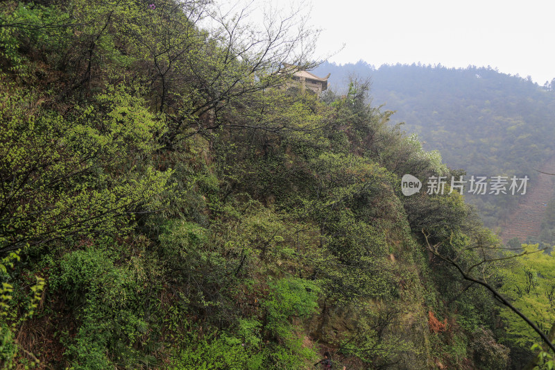 苏州树山风光