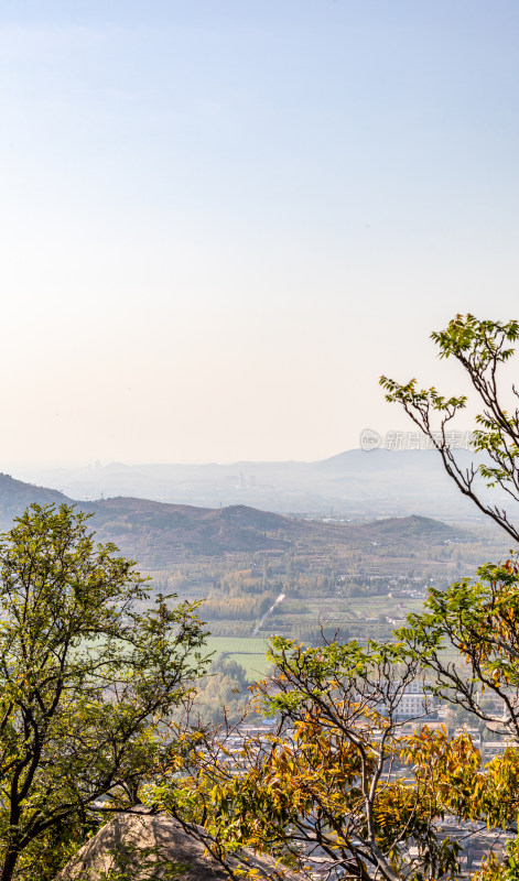 山景与植被远景