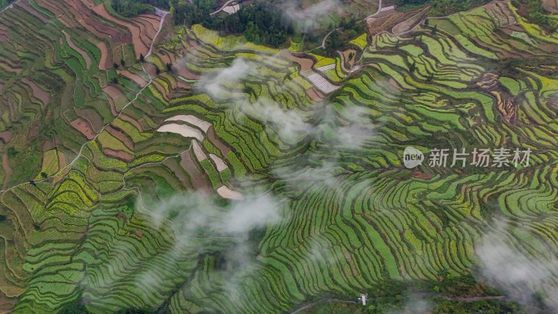 重庆酉阳：青山雾漫别样美