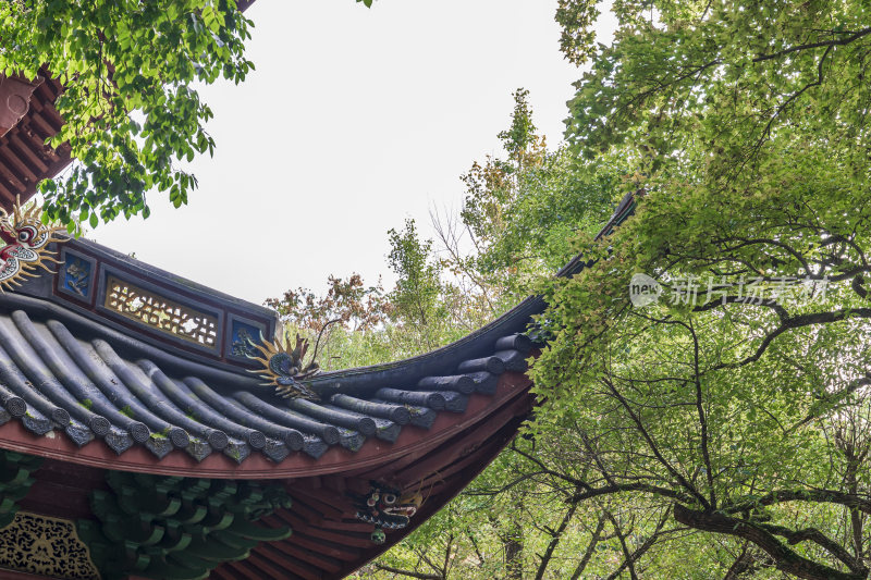 杭州西湖飞来峰灵隐寺千年古刹古建筑