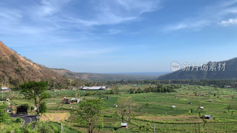 巴厘岛梯田