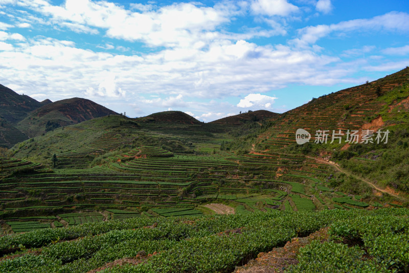 山林间的村庄全景