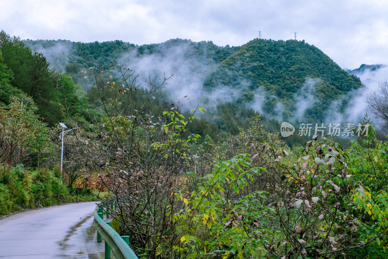 汉中留坝火烧店镇秦岭深处的山中小路