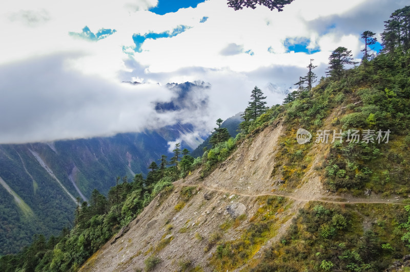 云雾中森林山川自然风景