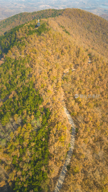 航拍秋天的山林风景