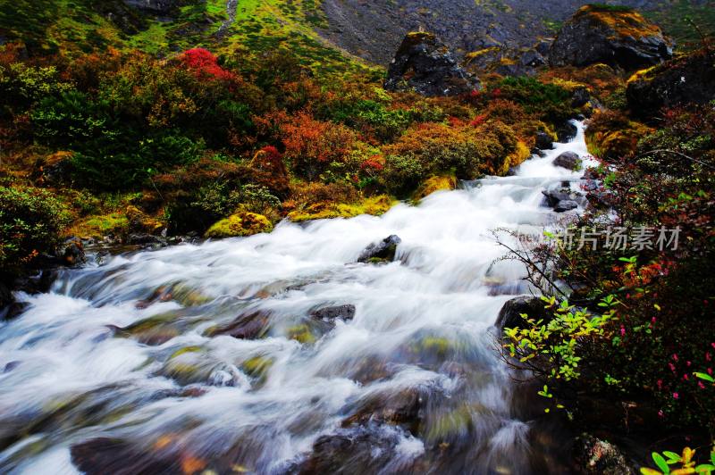 西藏噶玛沟山水自然风景