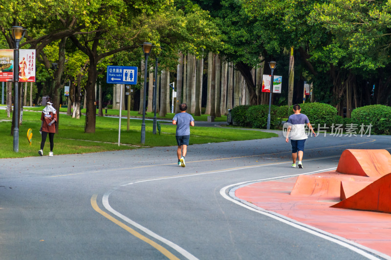 城市湖边绿树环绕的道路