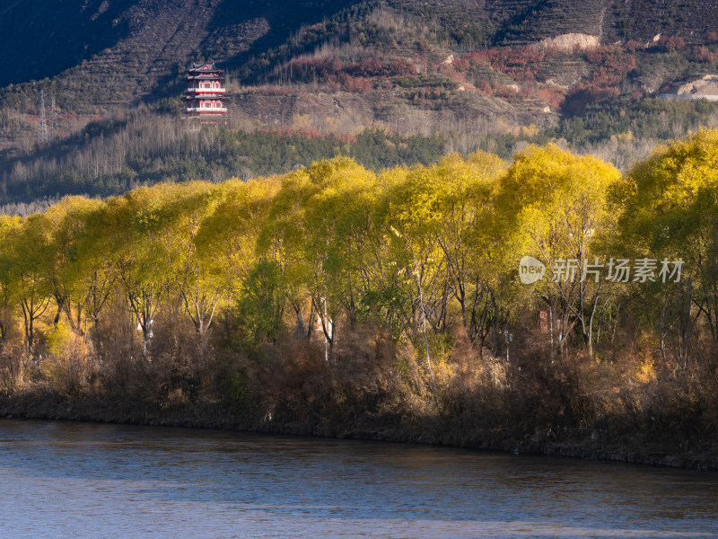 西宁宁湖湿地公园秋景