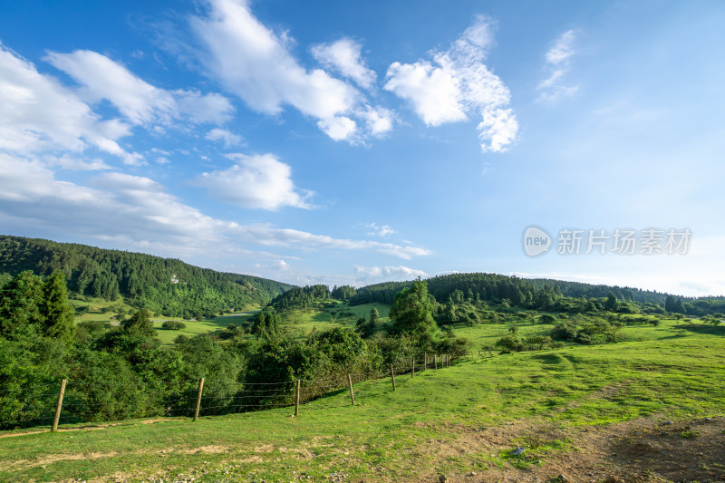 重庆市武隆区仙女山国家森林公园