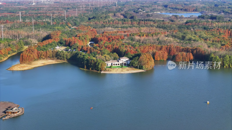 小河边多彩树林的秋景