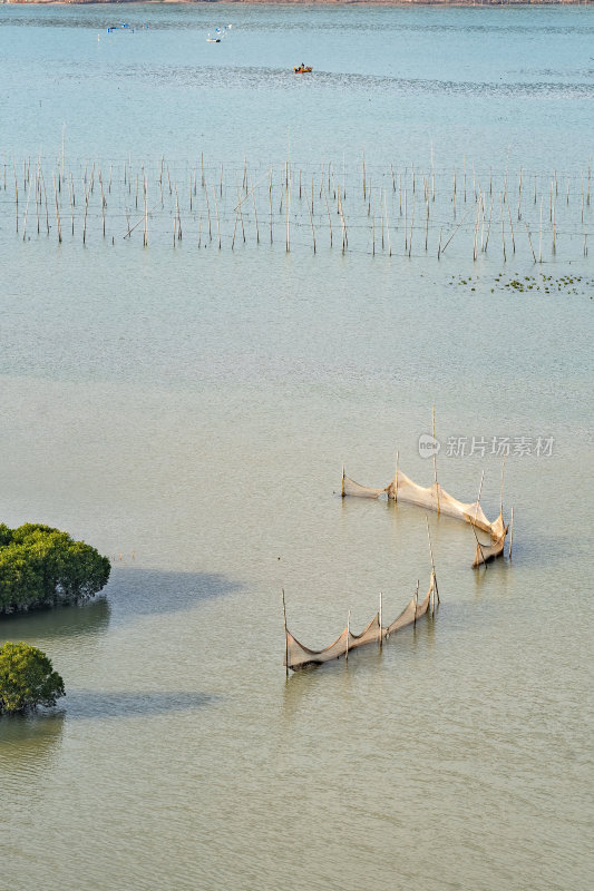 福建宁德霞浦县城红树林湿地涂滩海边景观