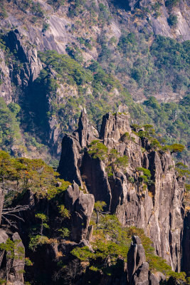 安徽黄山风景区自然风光