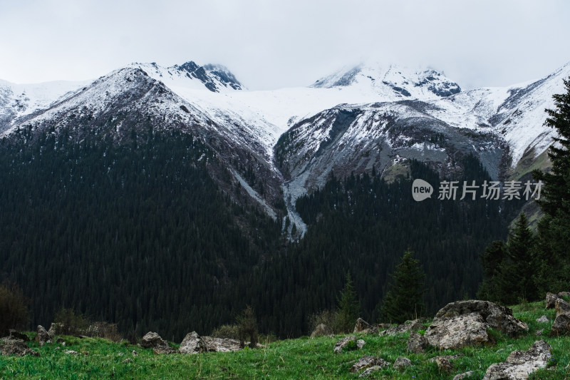 新疆伊犁夏塔雪山森林草原绝美风光