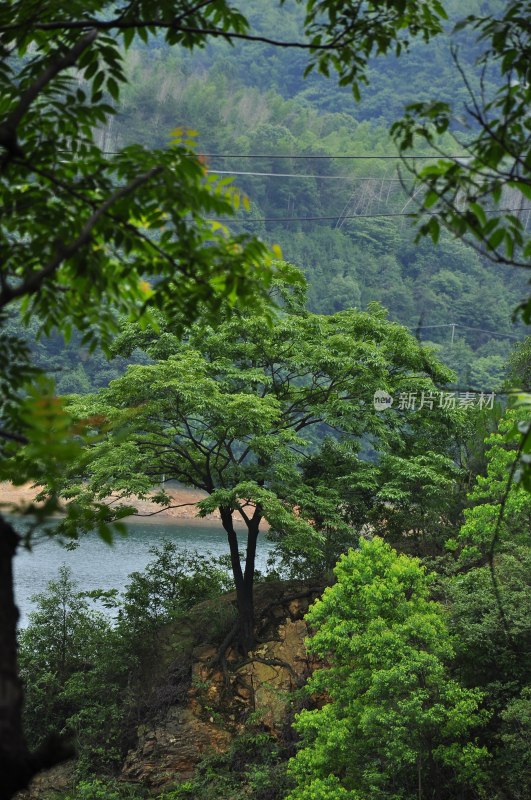 自然风景