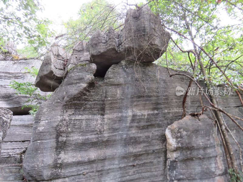 湖北恩施梭布垭石林旅游风光