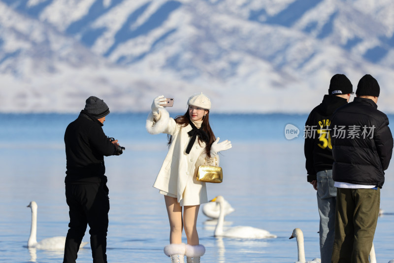 赛里木湖湖畔女子与天鹅的冬日场景