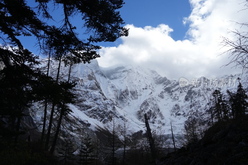 高原雪山