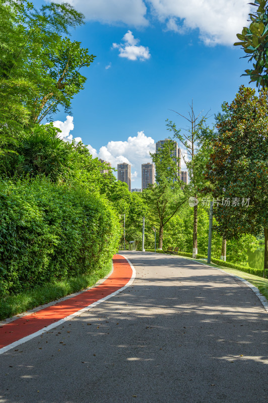 晴朗的天气，公园里的跑道与翠绿的绿植